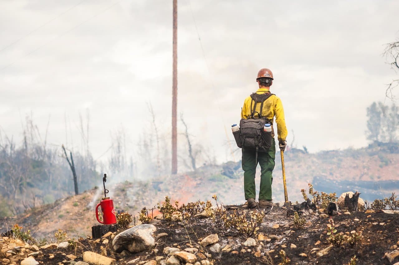 Whiskeytown: Carr Fire Survivor