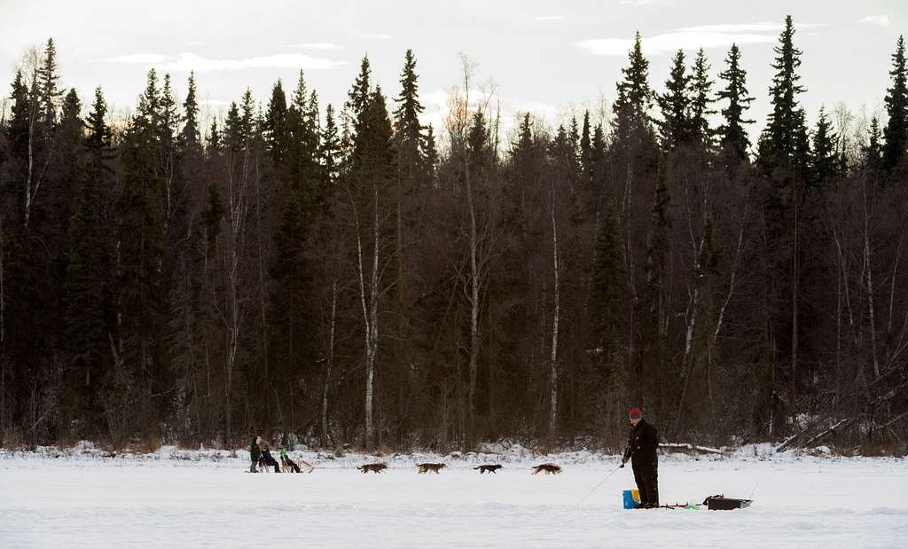 A-Sled-Dog-Team-Offers-Rides-To-Hillberg-Ski-Area-Visitors-7269Bc