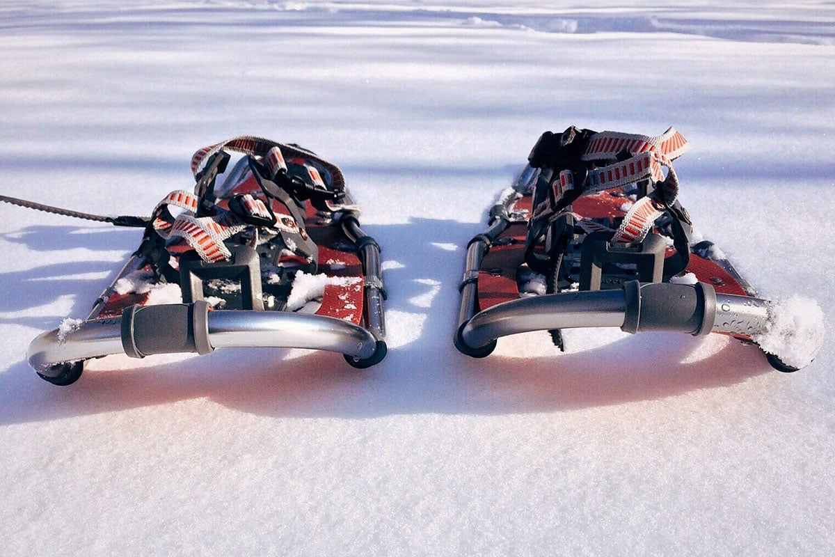 Snowshoe-1983135