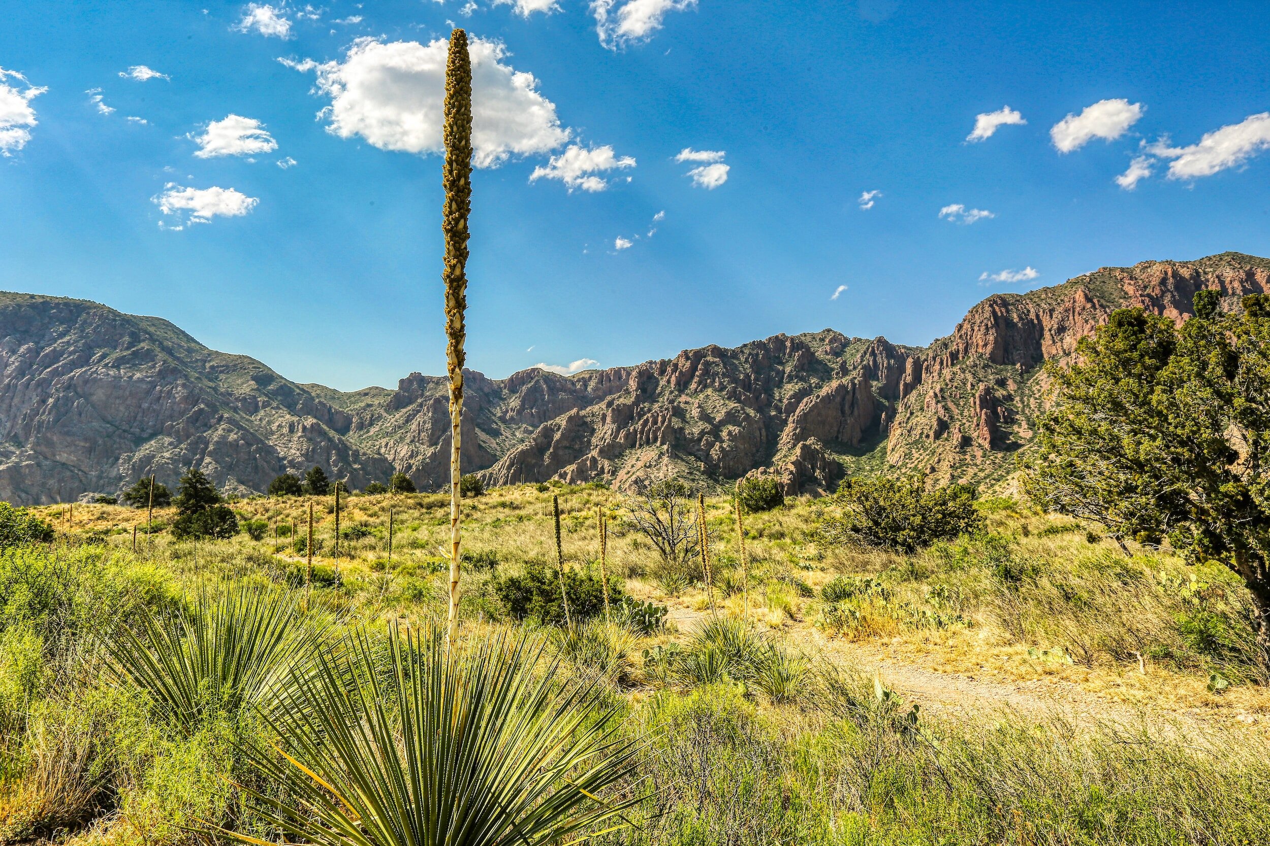 Chisos Basin Campground