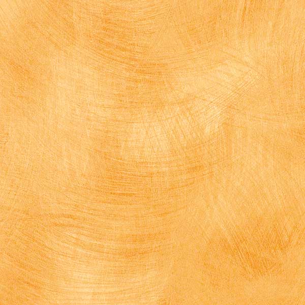 Maroochy Brush