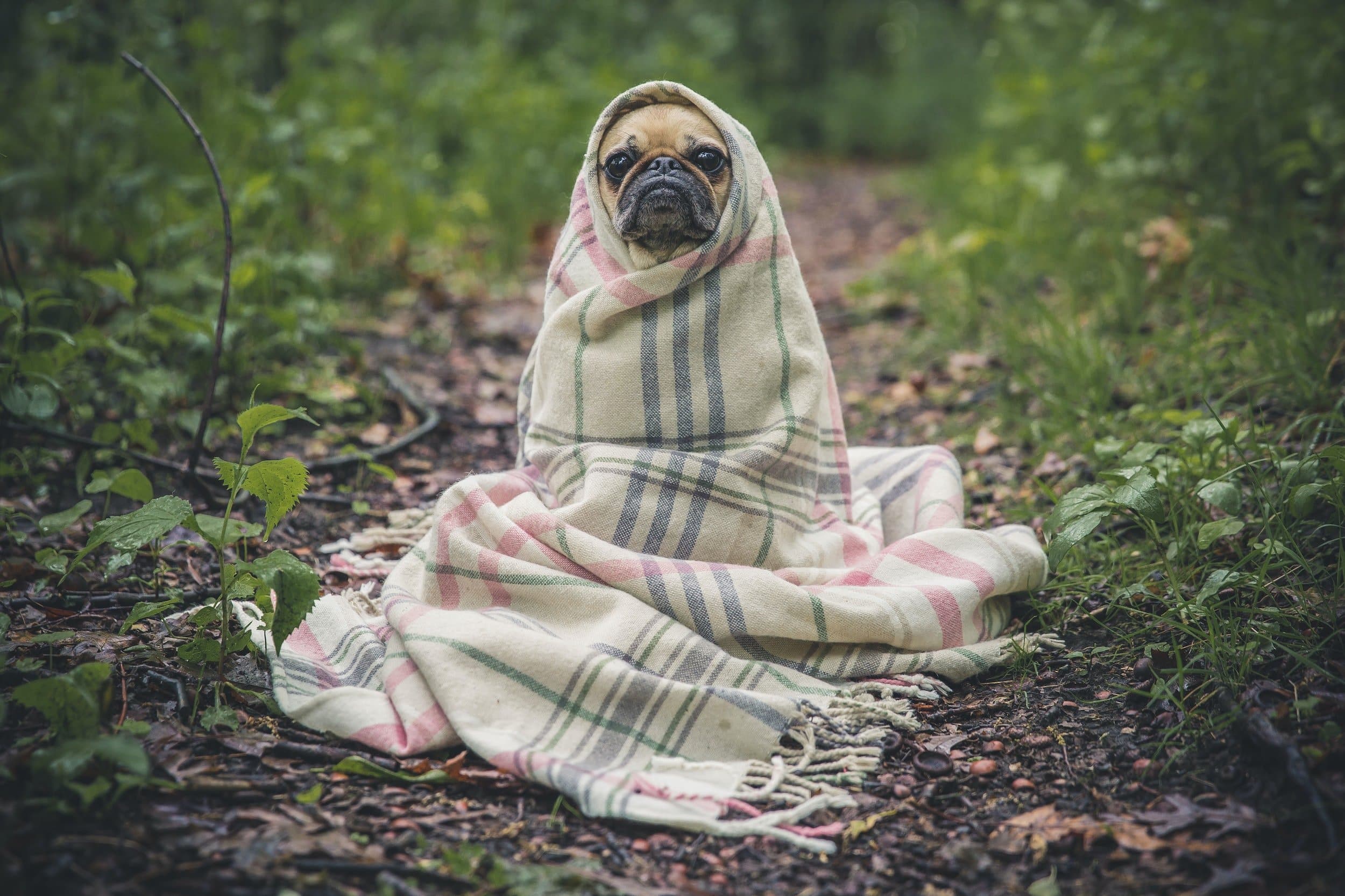 Unsplash Image U5Rmrsi7Pn4