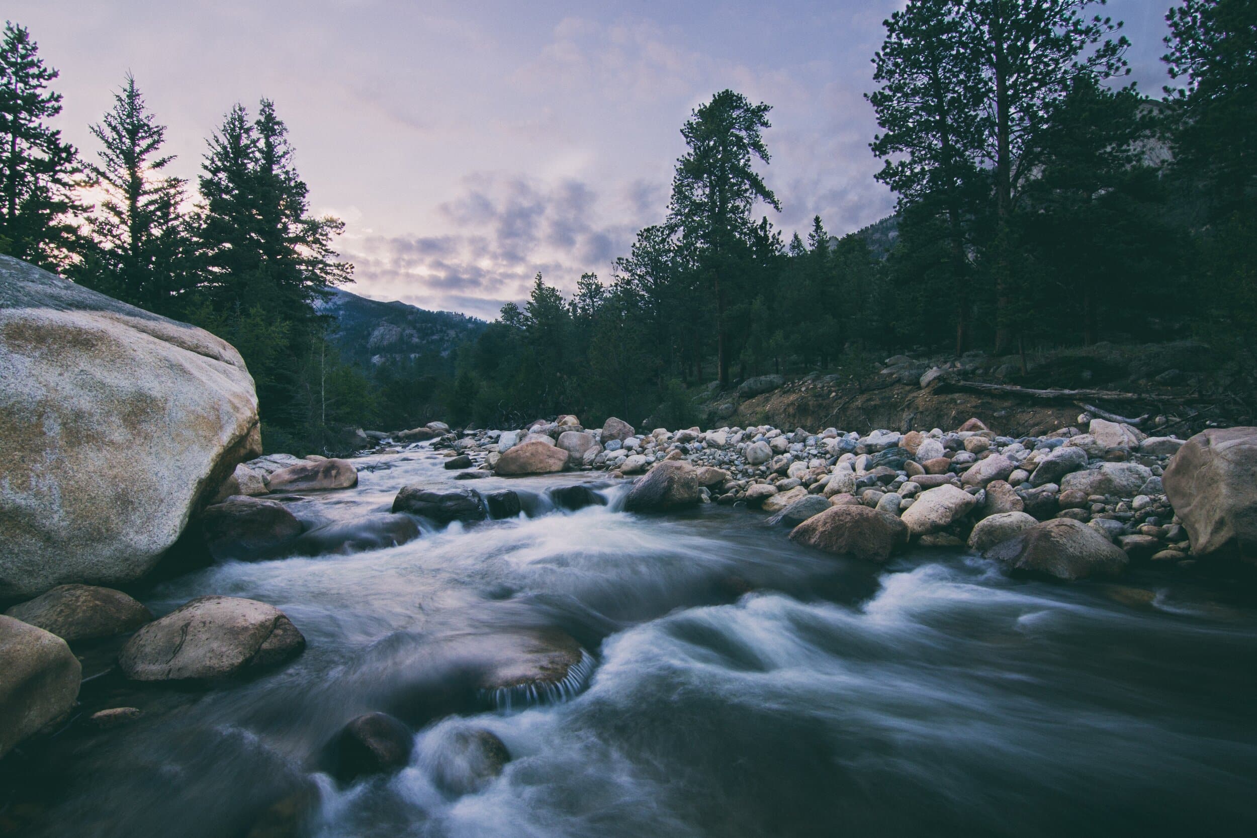 Vanessa Ochotorena Iz4Yhydb Dq Unsplash