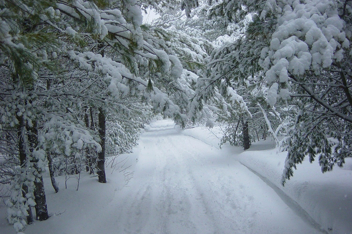 Your Guide To The Best Winter Camping In Minnesota: Tips, Tricks And Teardrop Trailers