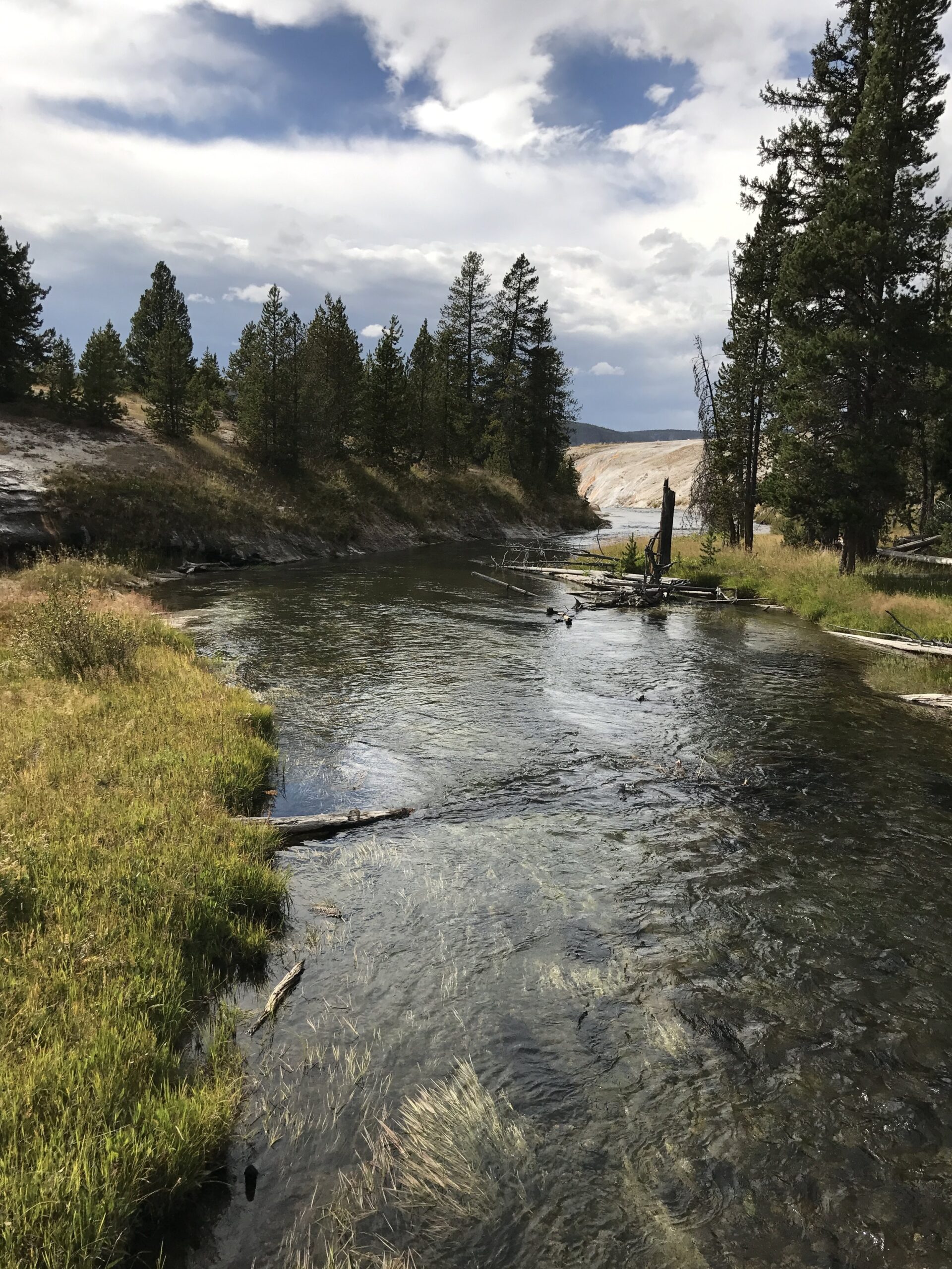 Yellowstone 1 Scaled
